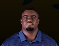 P. Hamilton