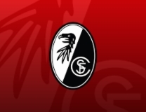 V Grifo