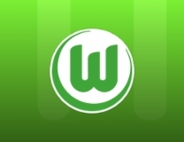 Dzenan Pejcinovic finds the back of the net for VfL Wolfsburg